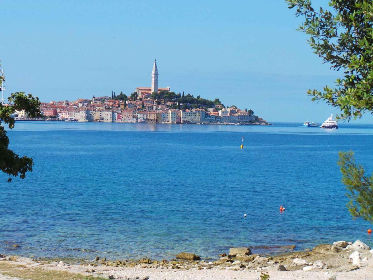Apartment In Rovinj/Istrien 11735 Exteriér fotografie